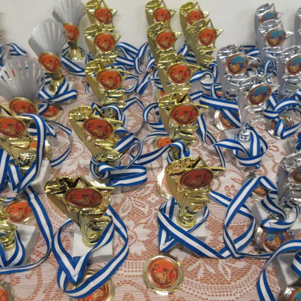 Кубки и медали фестиваля на столе награждения